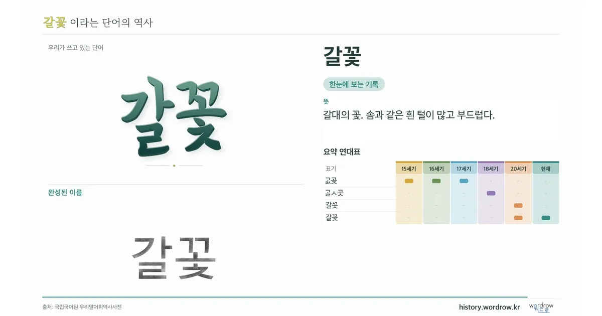 갈꽃 대표 이미지