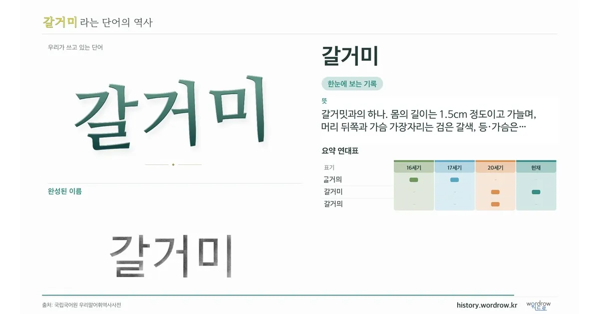 갈거미 대표 이미지