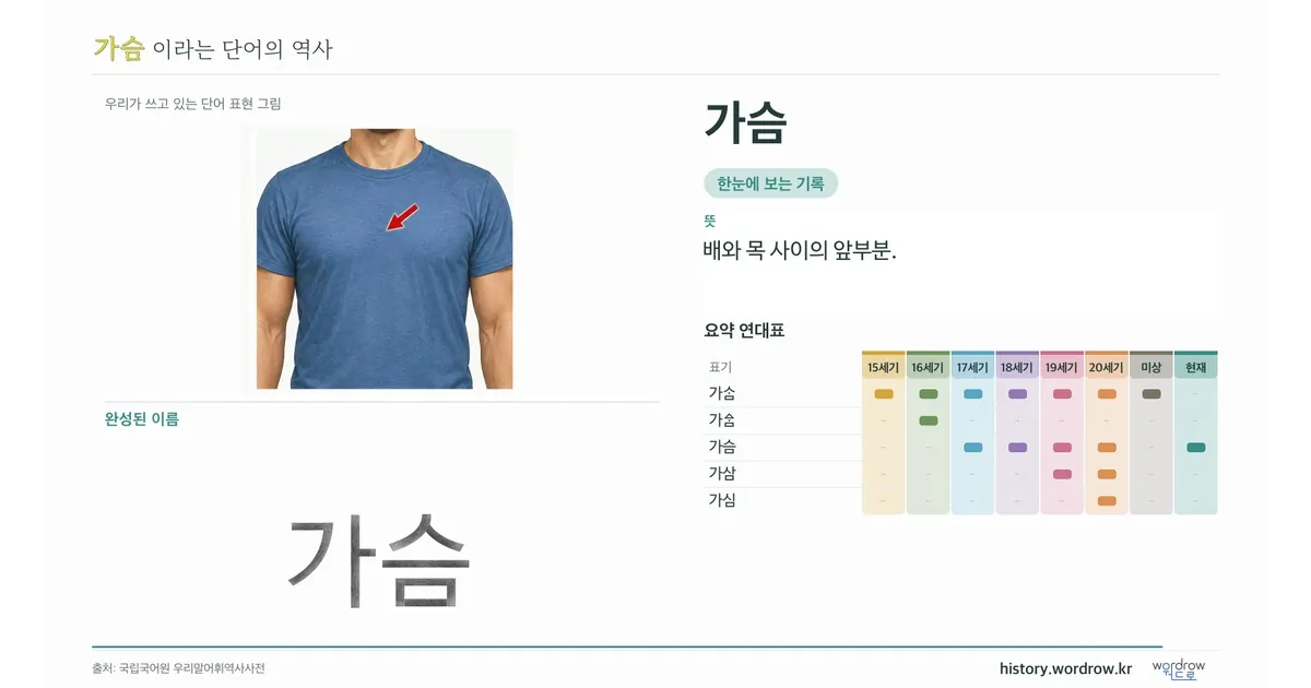 가슴 대표 이미지
