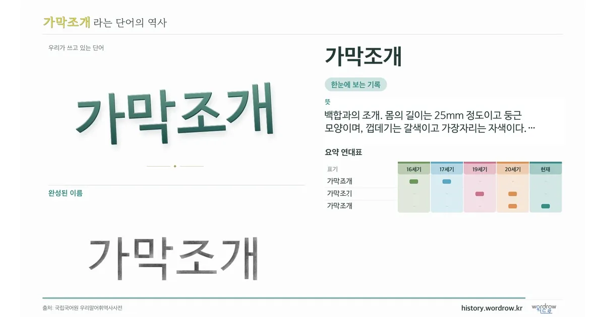 가막조개 대표 이미지