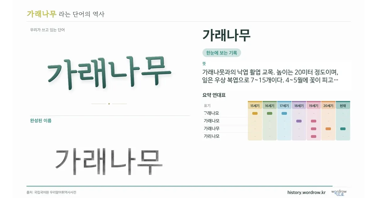 가래나무 대표 이미지