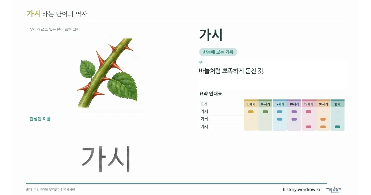 가시 대표 이미지