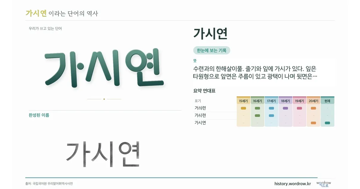 가시연 대표 이미지