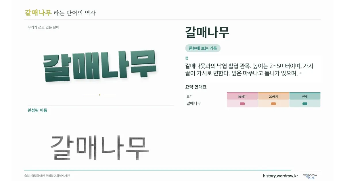 갈매나무 대표 이미지