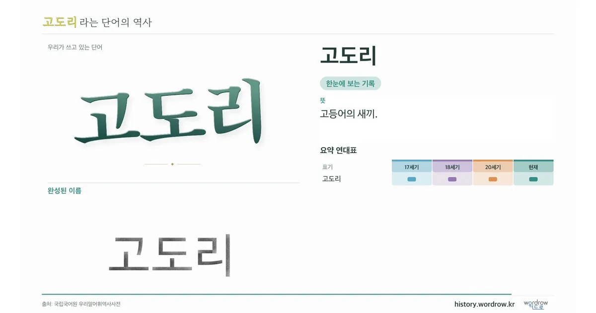 고도리 대표 이미지