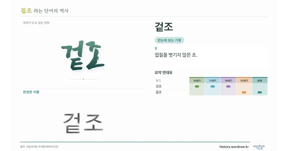겉조 대표 이미지