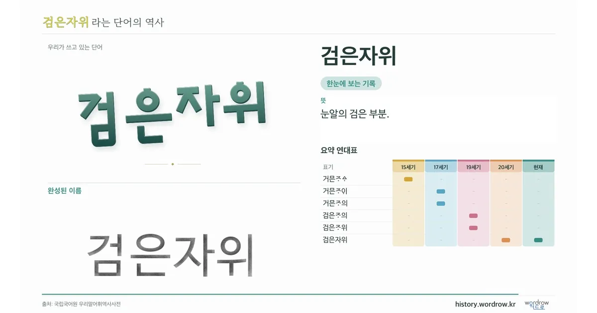 검은자위 대표 이미지
