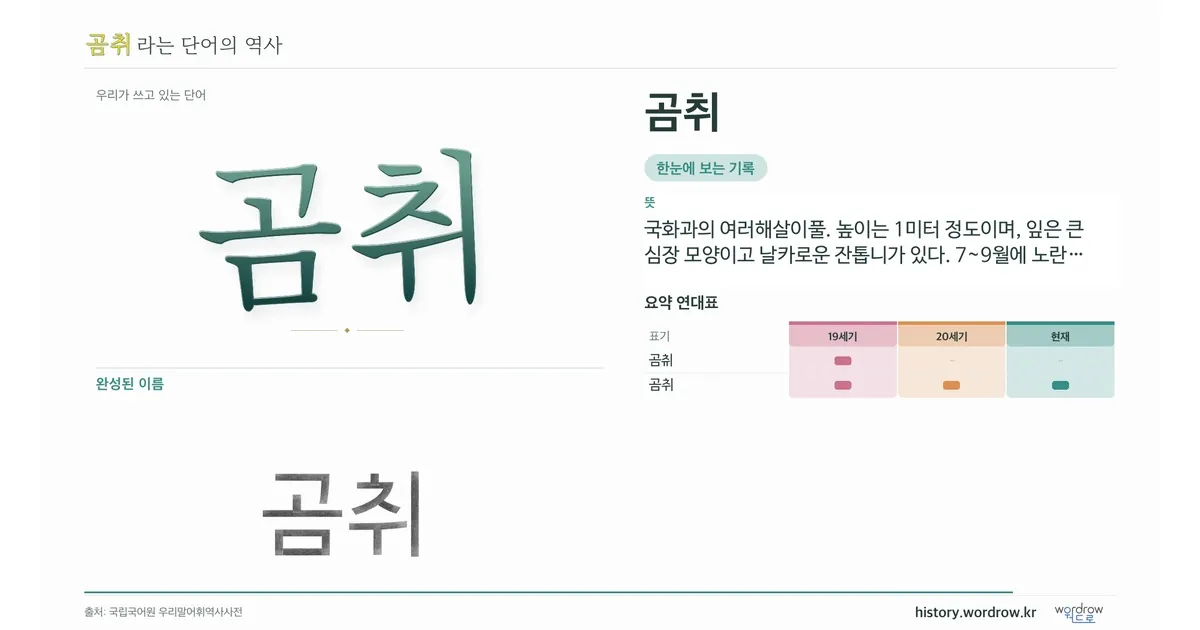 곰취 대표 이미지