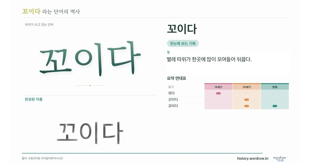 꼬이다 대표 이미지