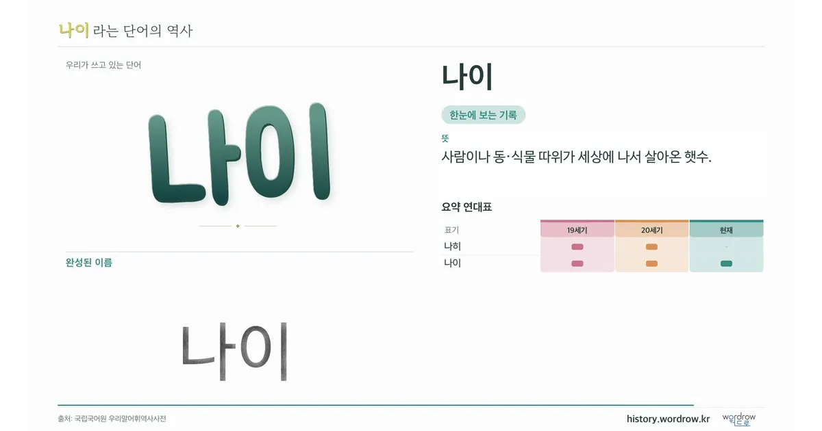 나이 대표 이미지