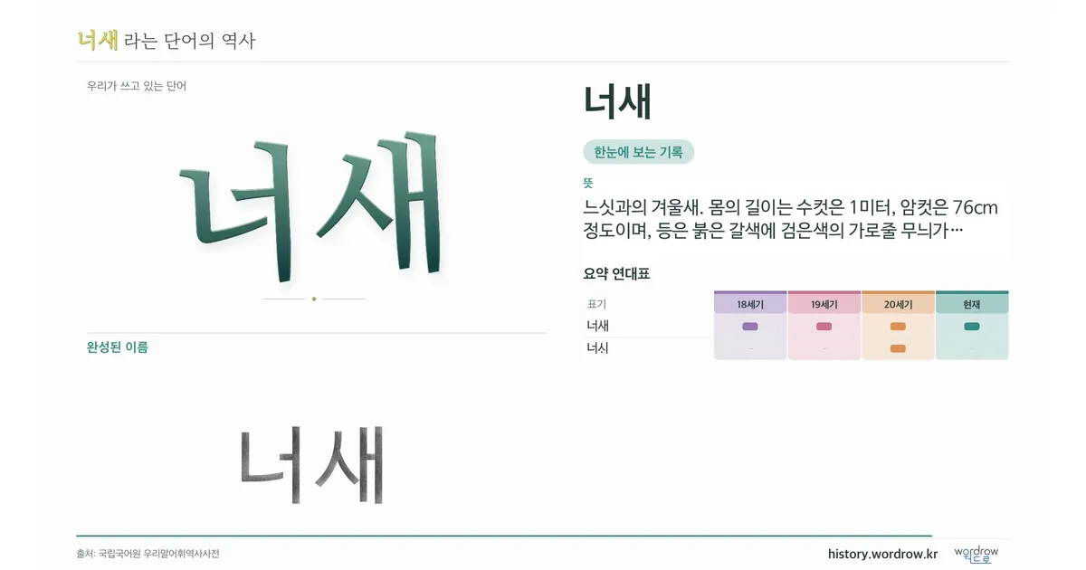 너새 대표 이미지