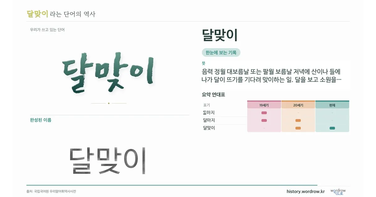 달맞이 대표 이미지