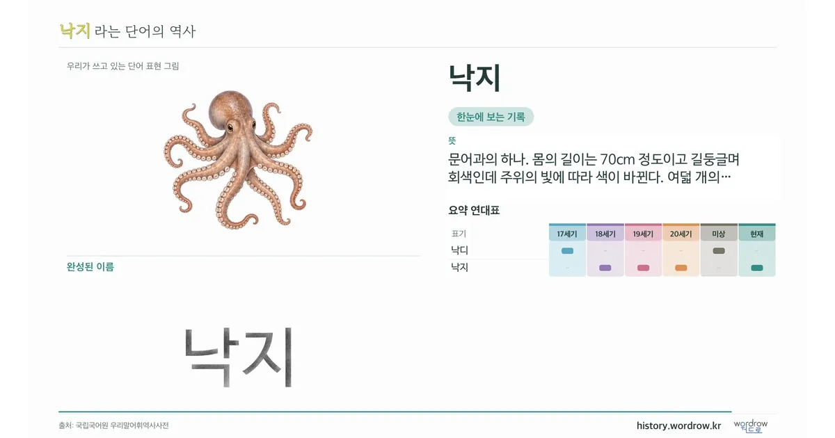 낙지 대표 이미지
