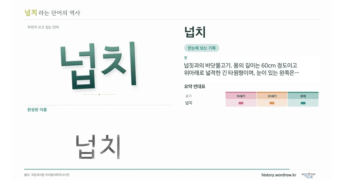 넙치 대표 이미지