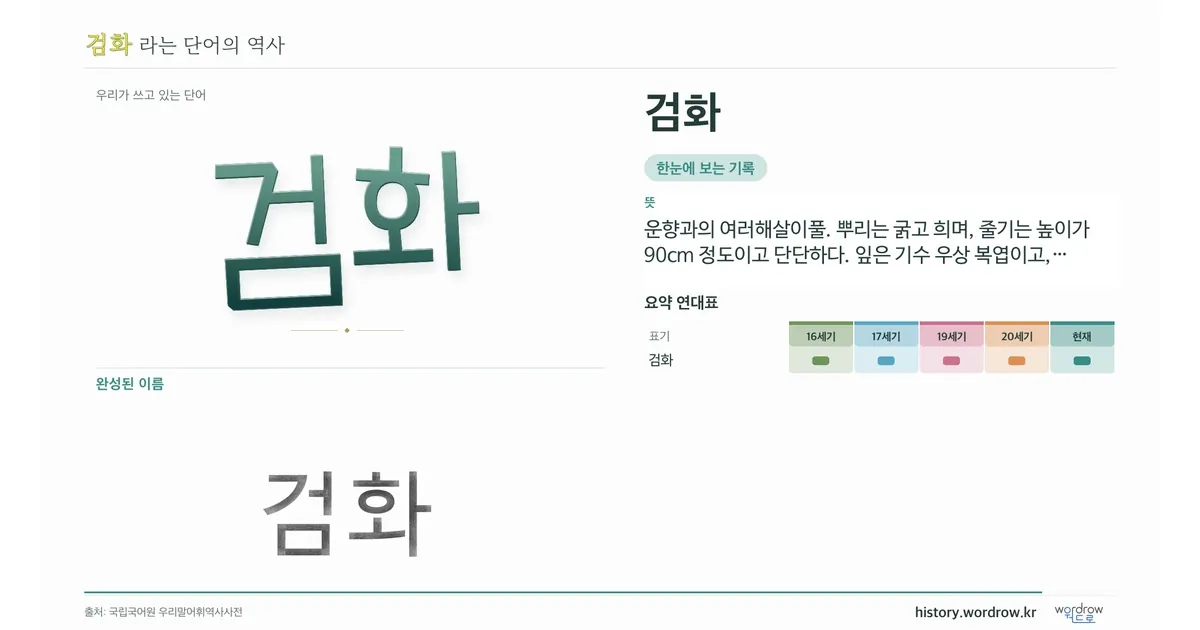 검화 대표 이미지