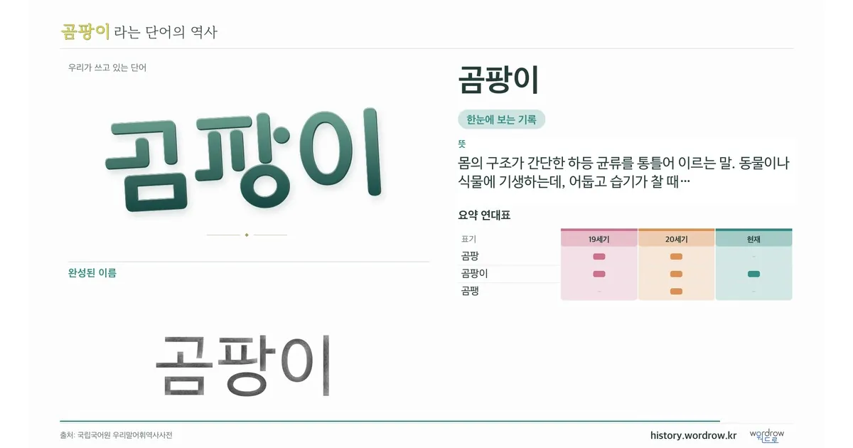 곰팡이 대표 이미지