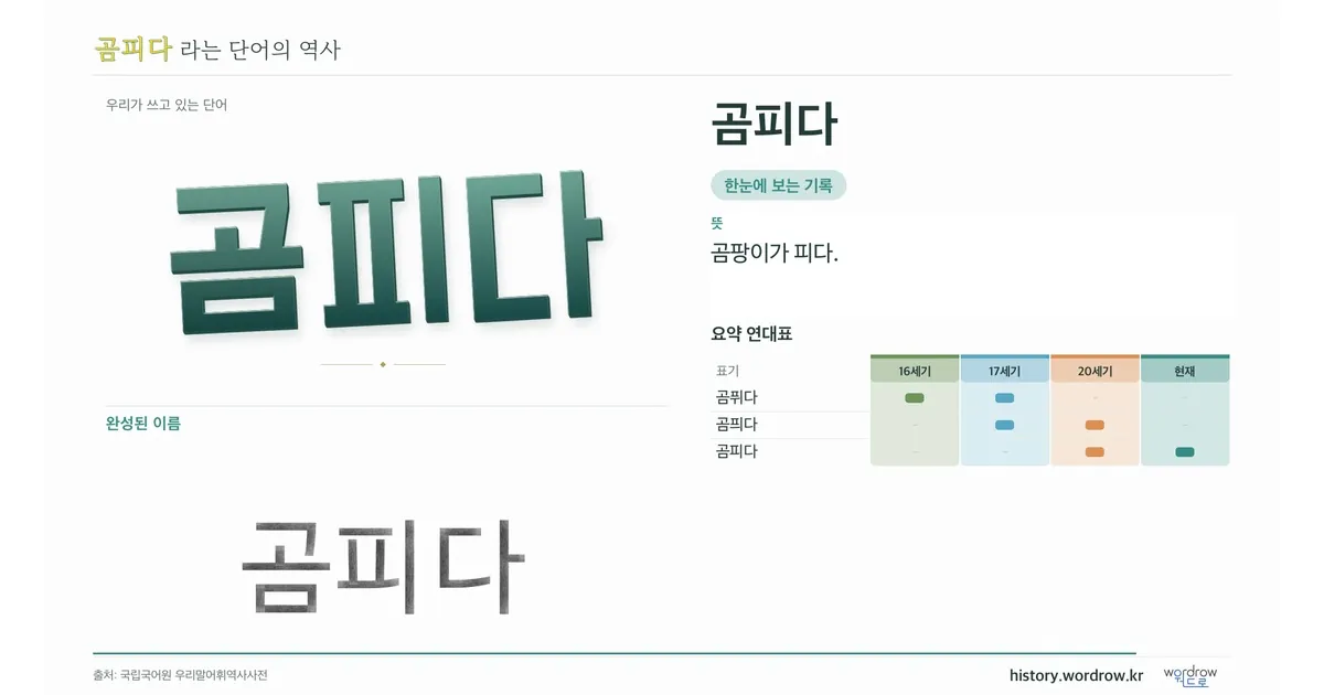 곰피다 대표 이미지
