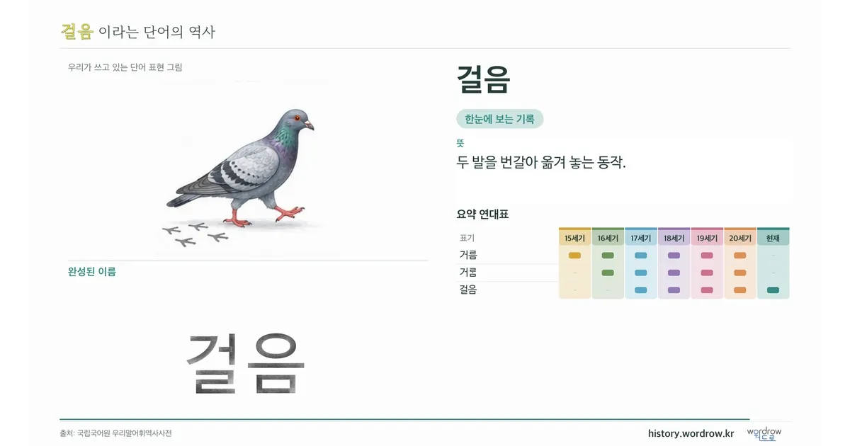 걸음 대표 이미지