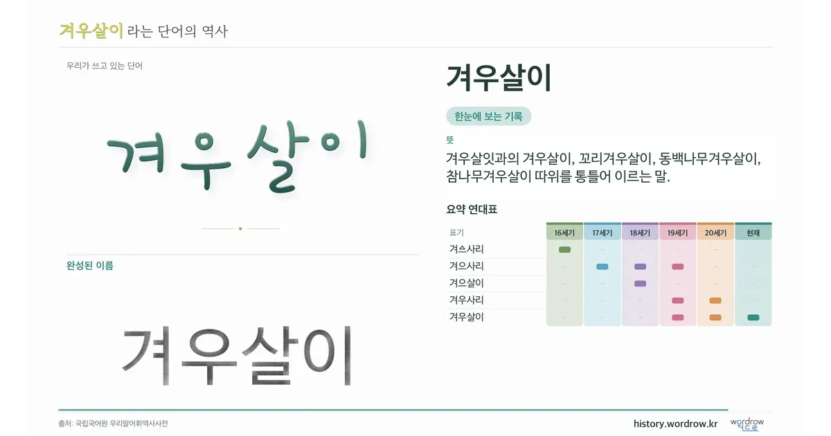 겨우살이 대표 이미지