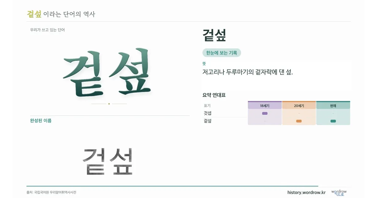 겉섶 대표 이미지