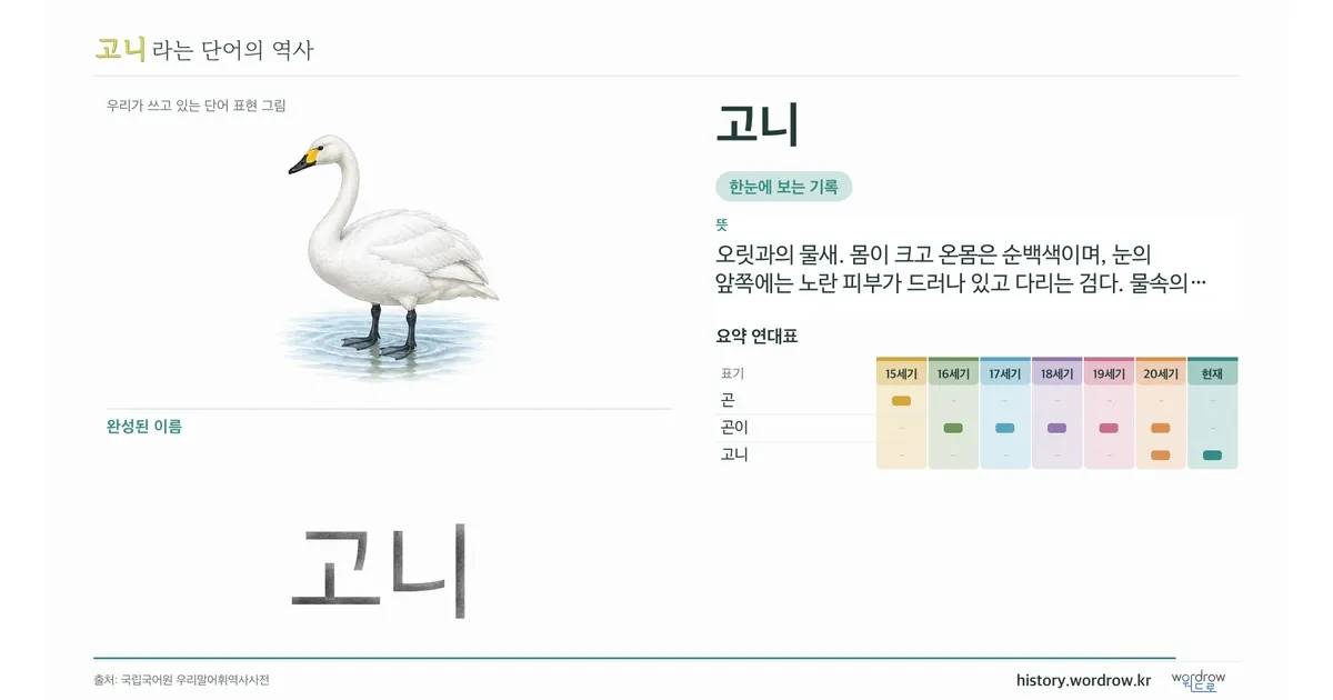 고니 대표 이미지