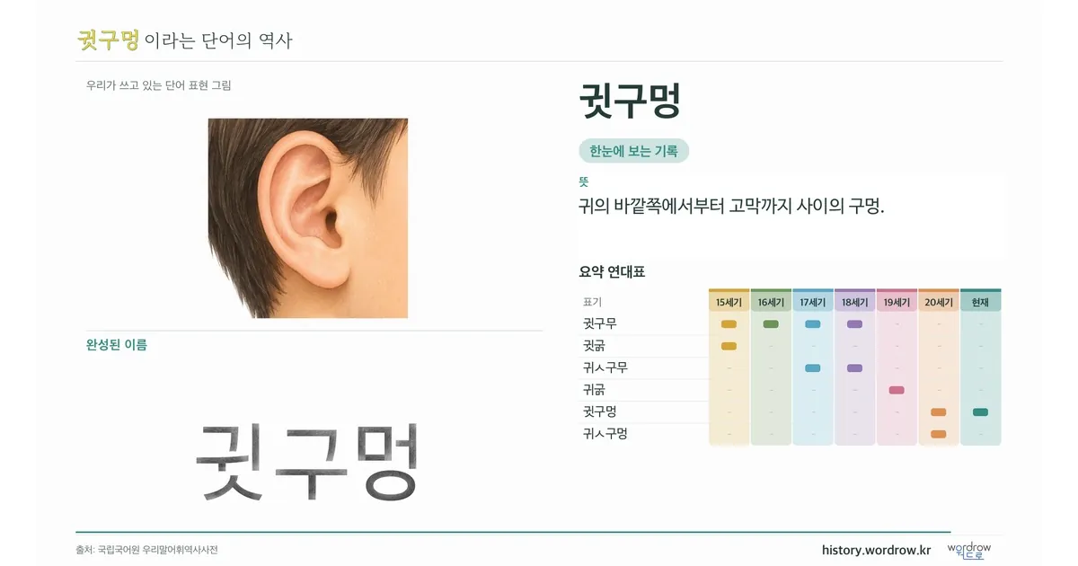 귓구멍 대표 이미지