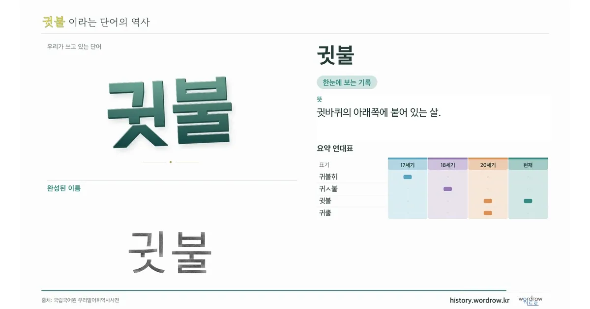 귓불 대표 이미지