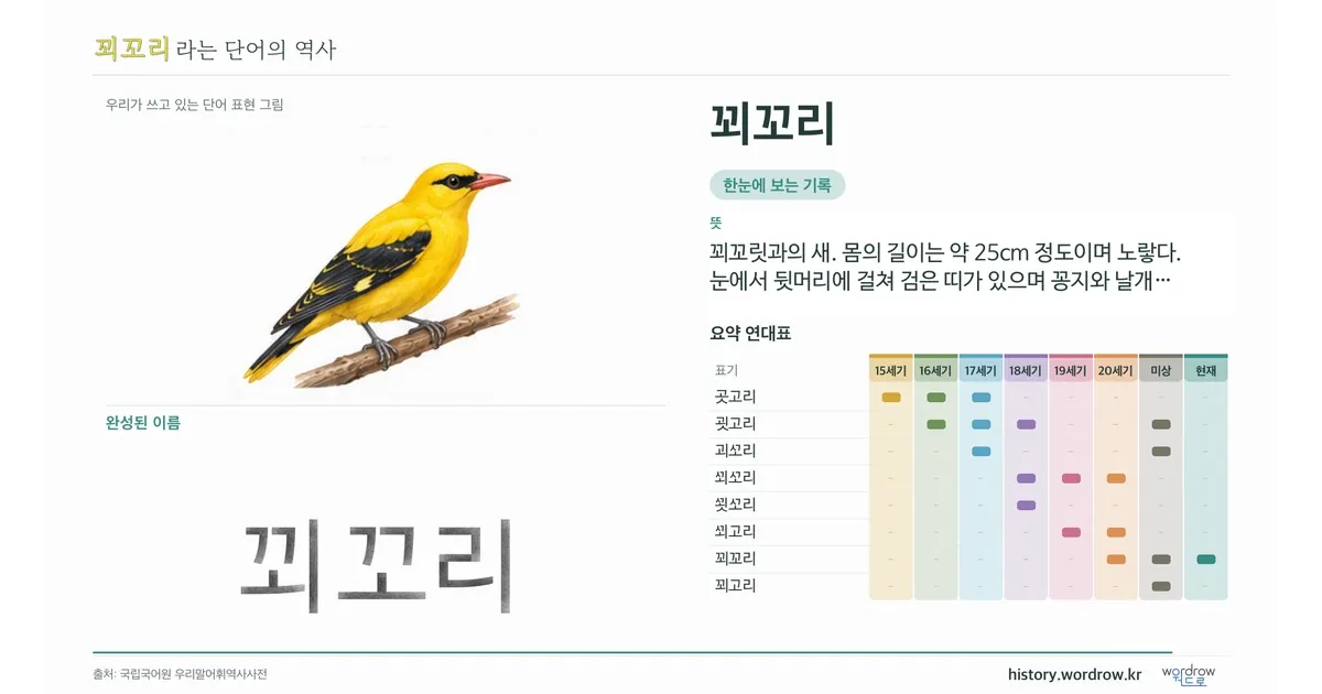 꾀꼬리 대표 이미지