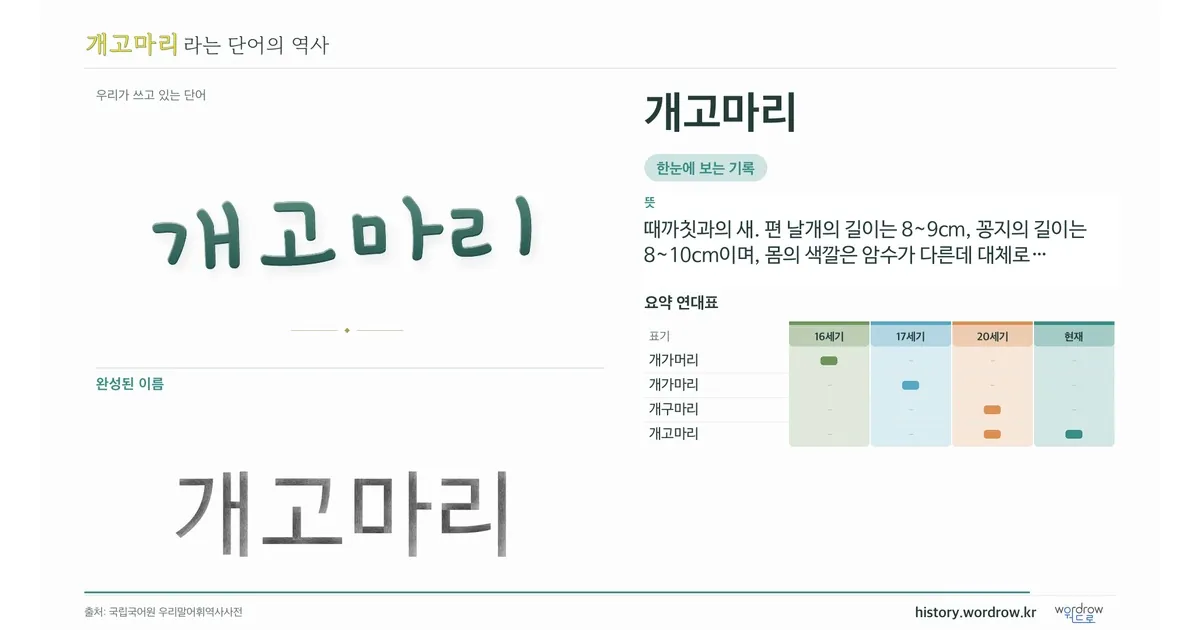 개고마리 대표 이미지