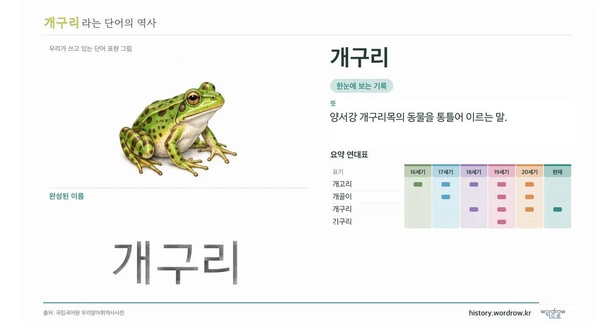 개구리 대표 이미지