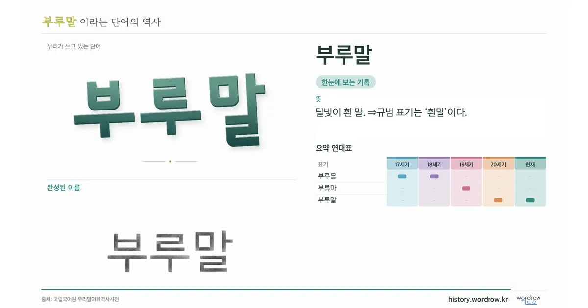 부루말 대표 이미지