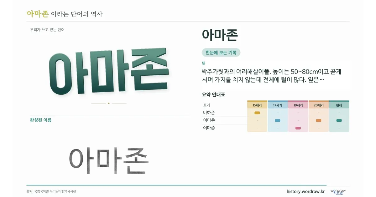 아마존 대표 이미지