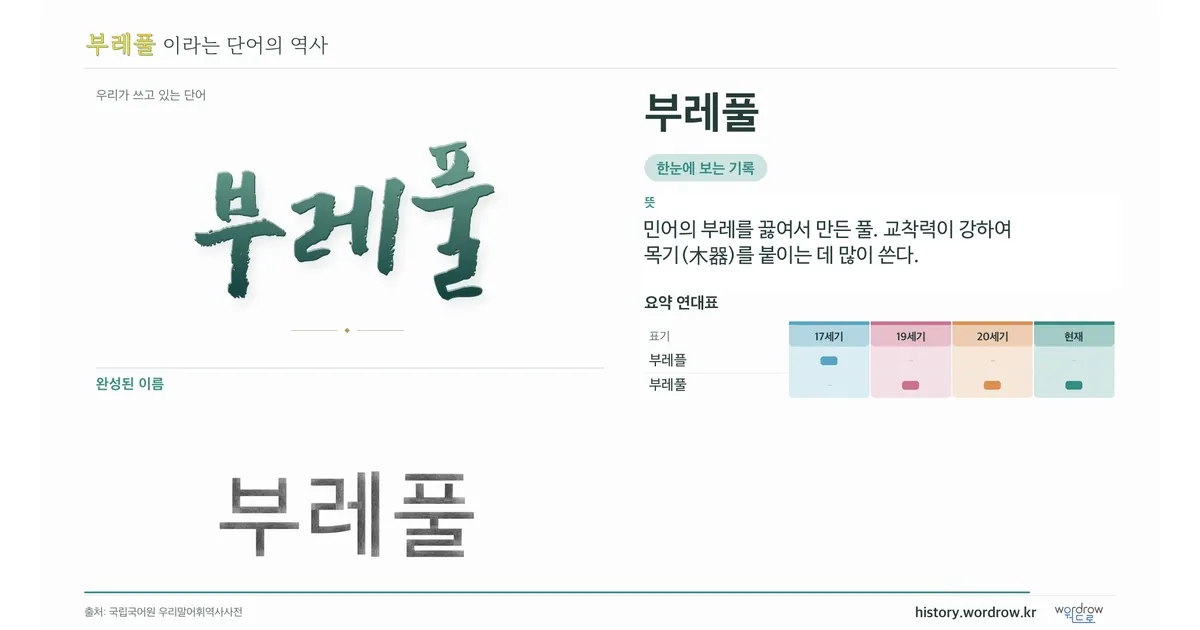 부레풀 대표 이미지