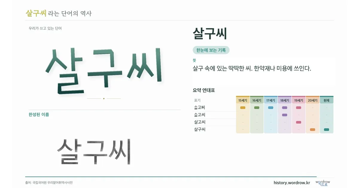 살구씨 대표 이미지