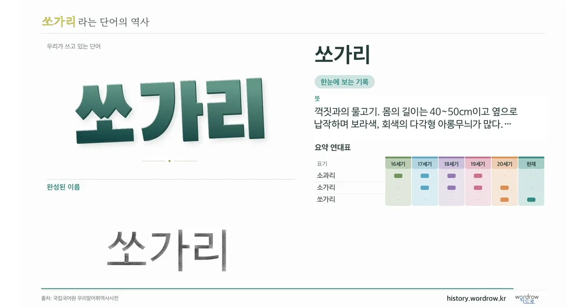 쏘가리 대표 이미지