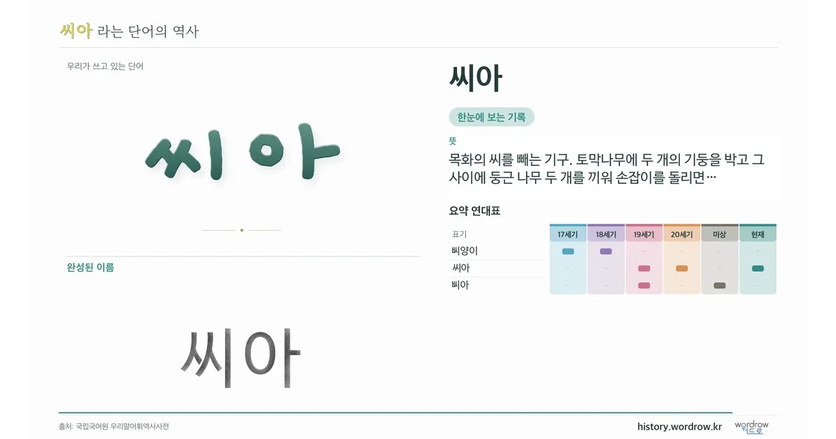 씨아 대표 이미지
