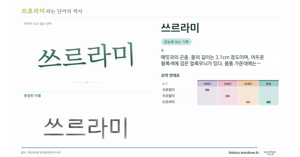 쓰르라미 대표 이미지