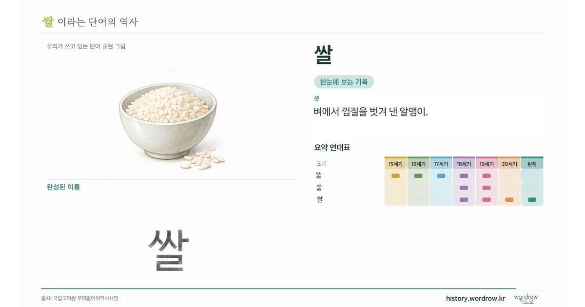 쌀 대표 이미지