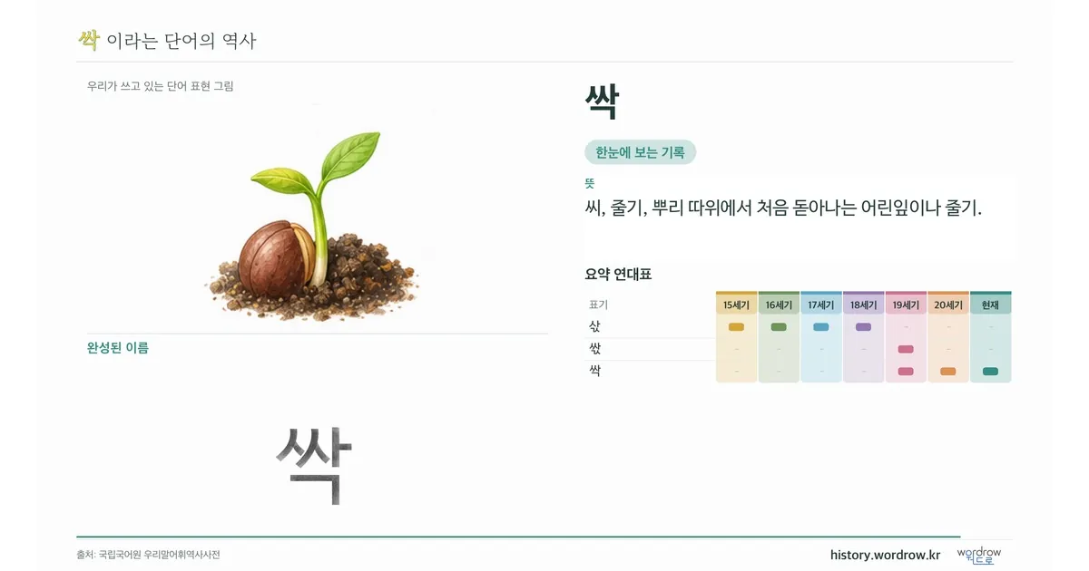 싹 대표 이미지