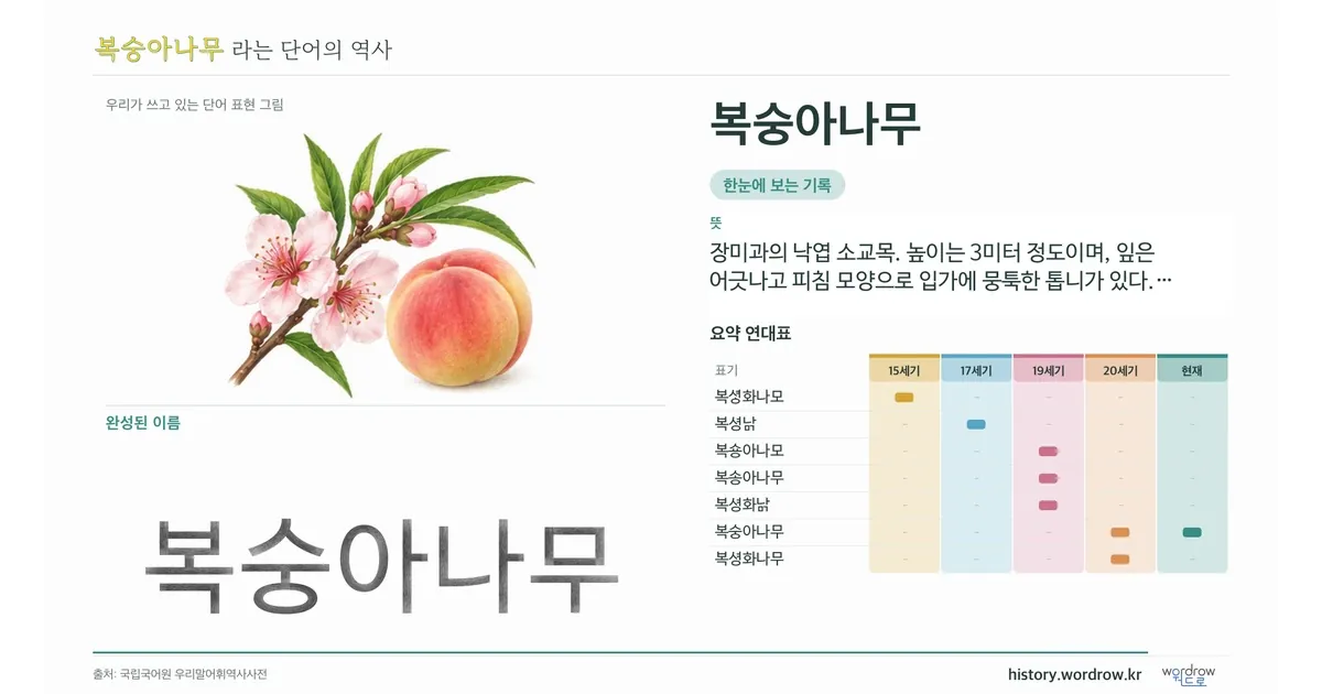 복숭아나무 대표 이미지