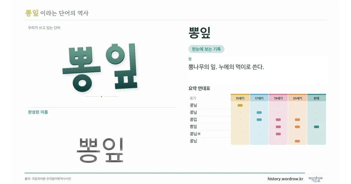 뽕잎 대표 이미지