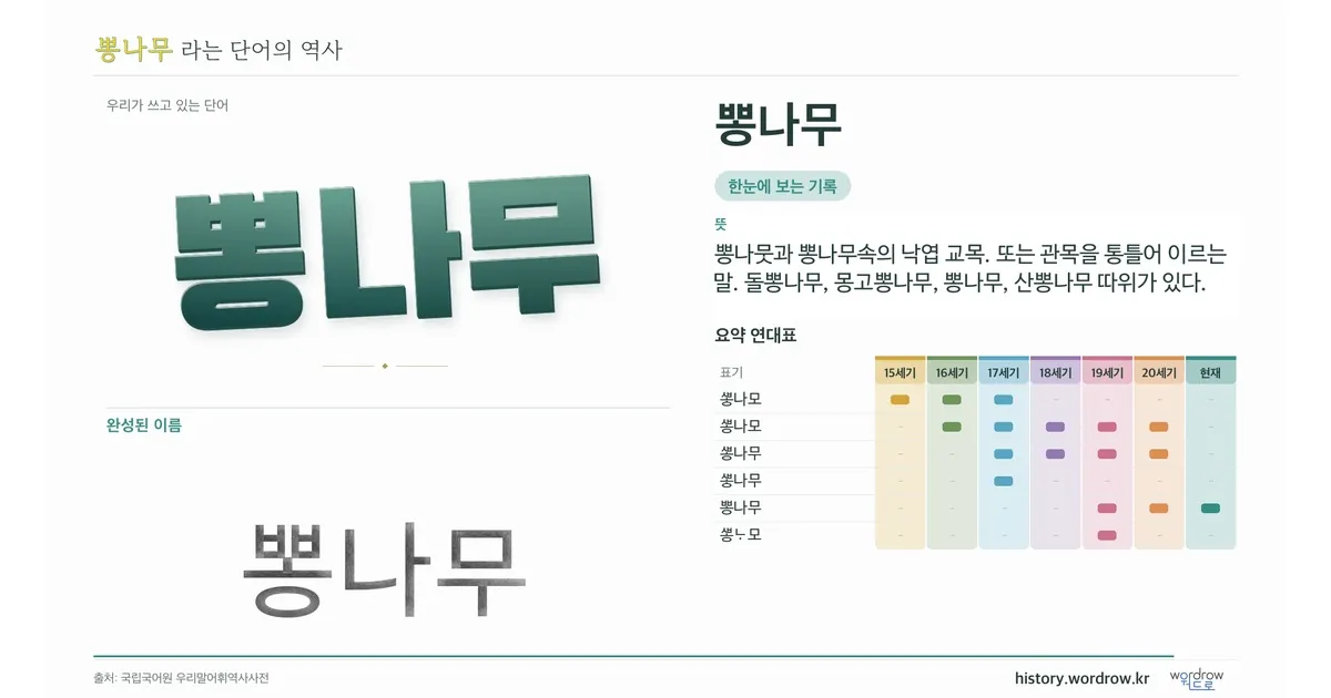 뽕나무 대표 이미지