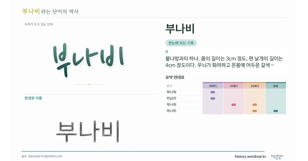 부나비 대표 이미지