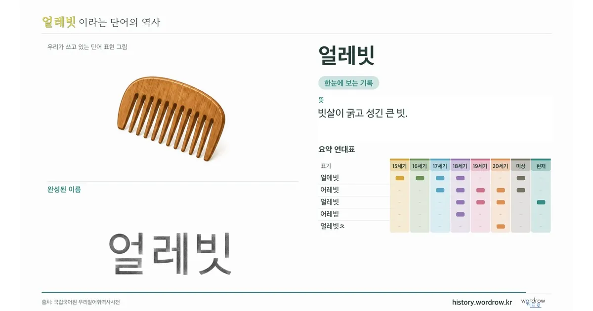 얼레빗 대표 이미지