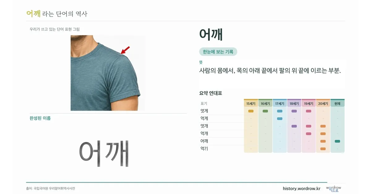 어깨 대표 이미지