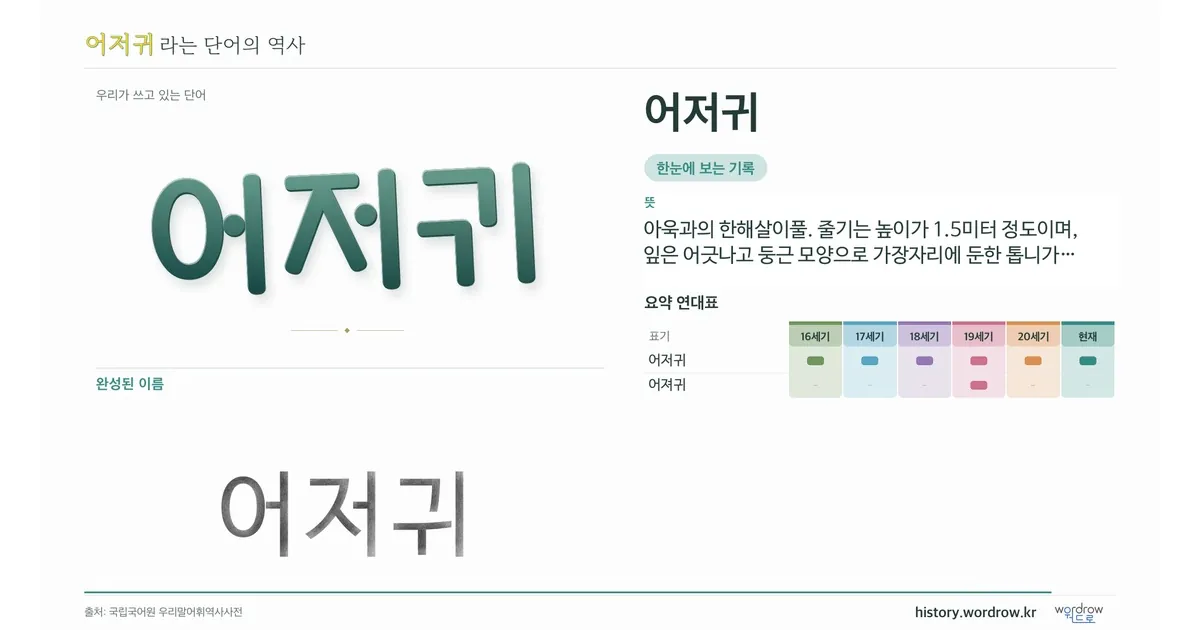 어저귀 대표 이미지