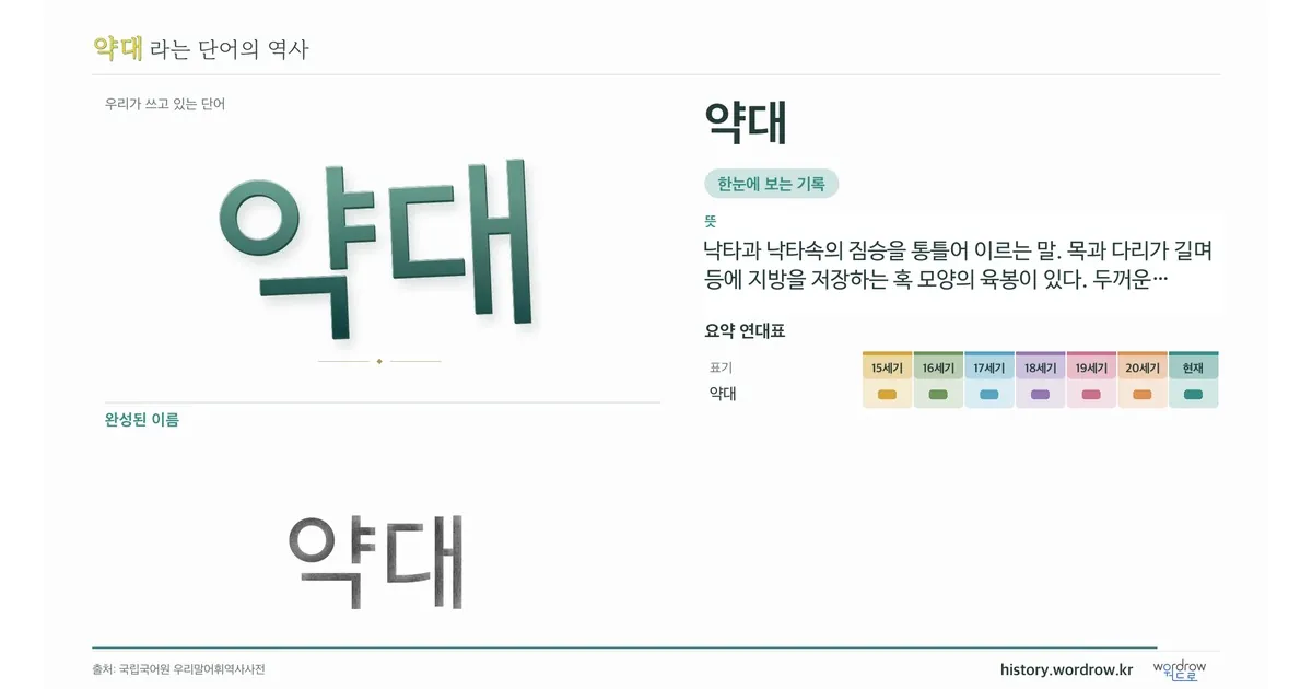 약대 대표 이미지