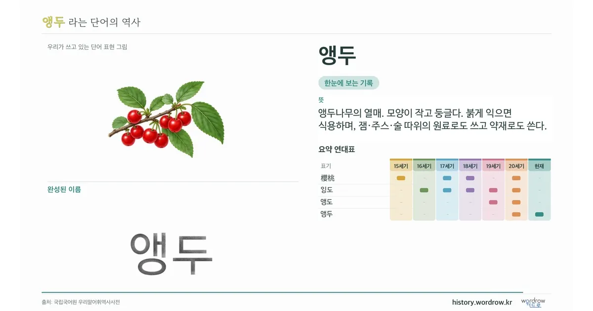 앵두 대표 이미지