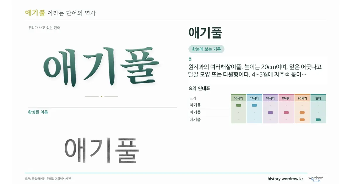 애기풀 대표 이미지