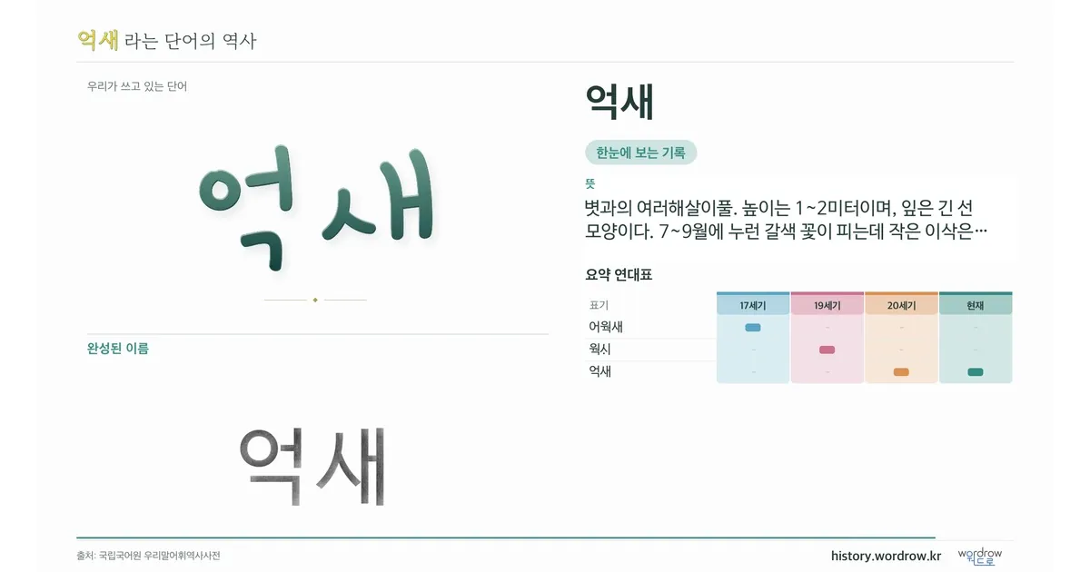 억새 대표 이미지